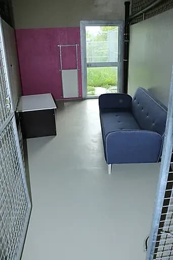 L’intérieur d’un box, avec son couchage